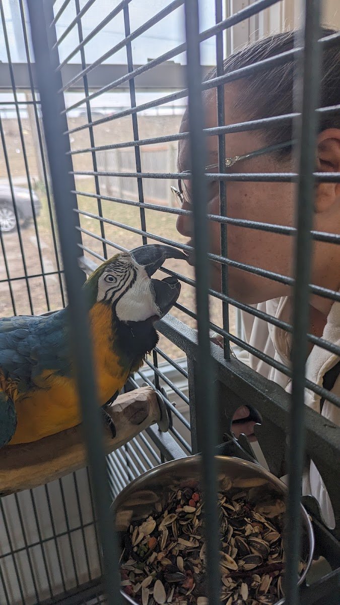 Burge Bird Services & Rescue - Photo 2