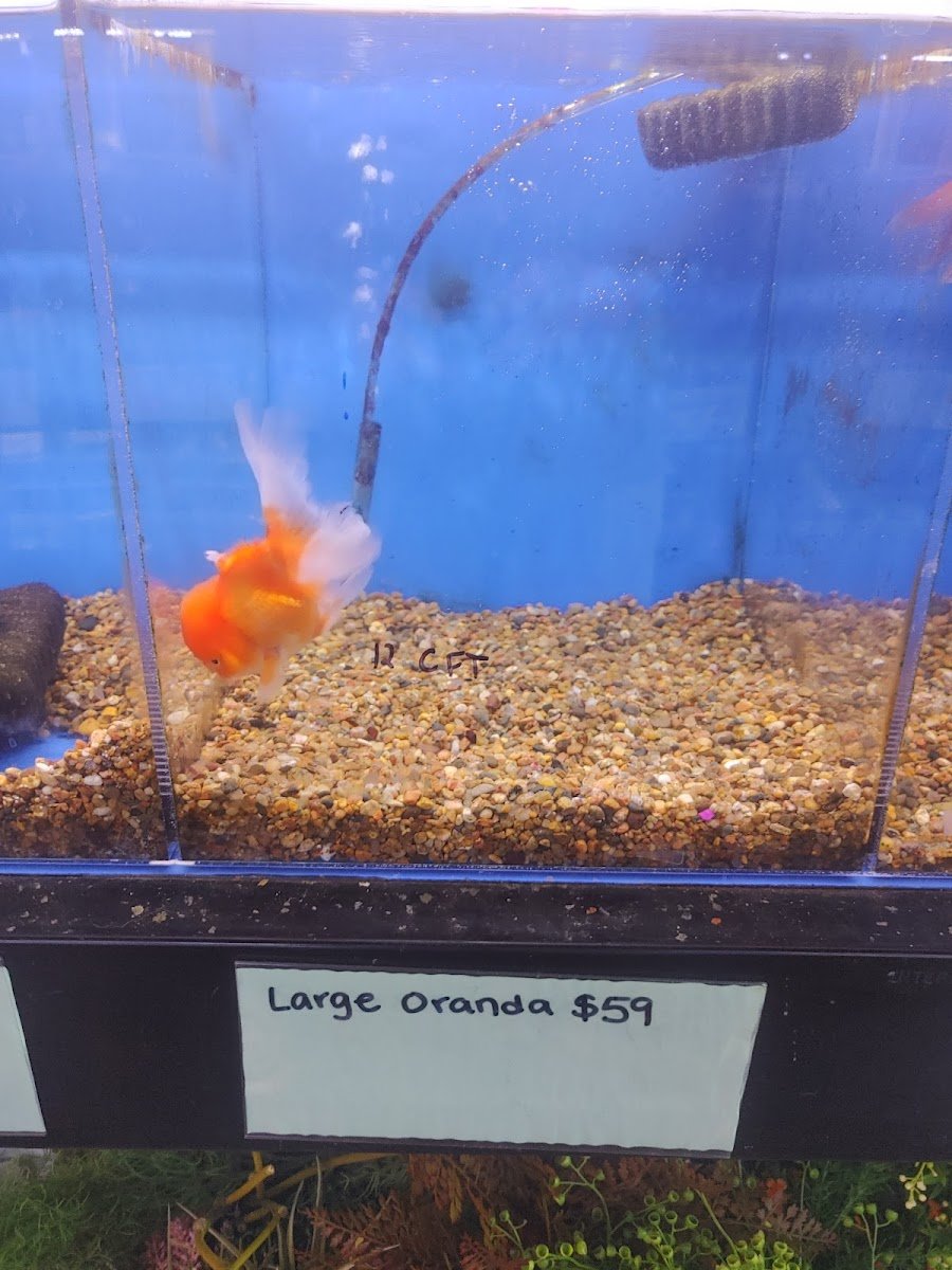 Mission Pet Mart, Inc. - Photo 2