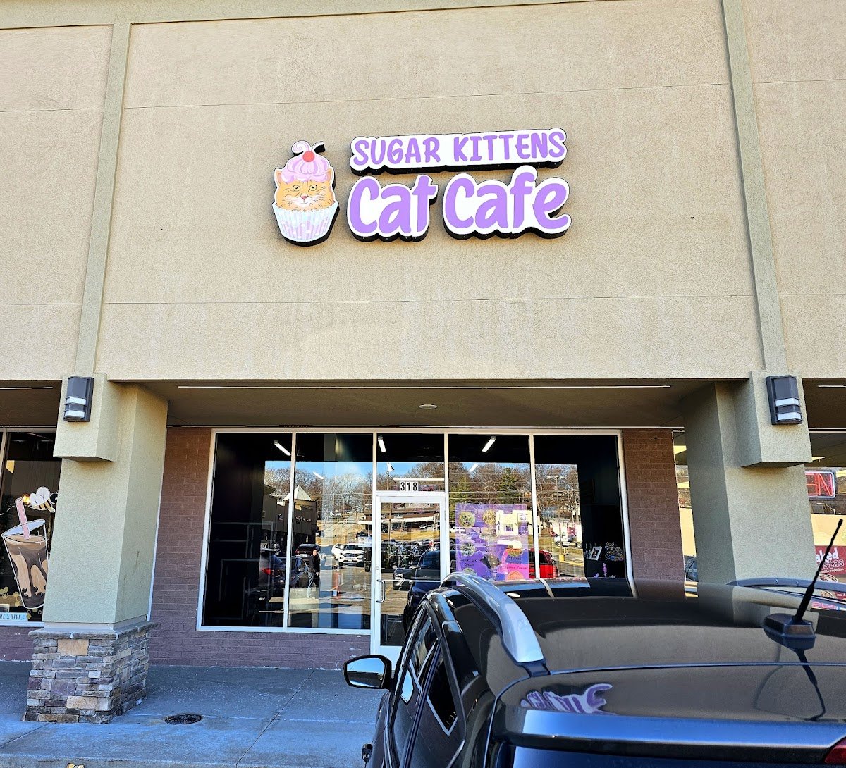 Sugar Kittens Cat Cafe & Cattery - Photo 2