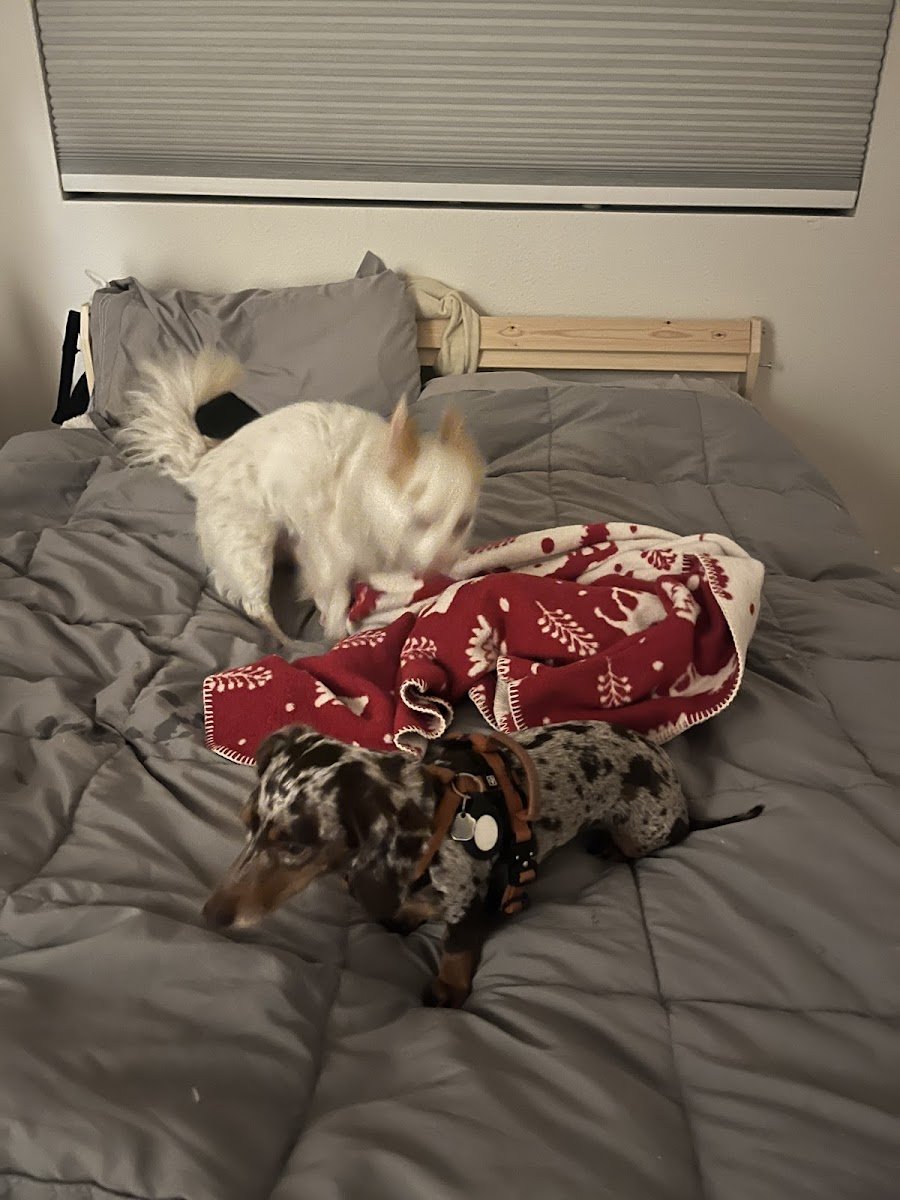 Petco - Photo 2