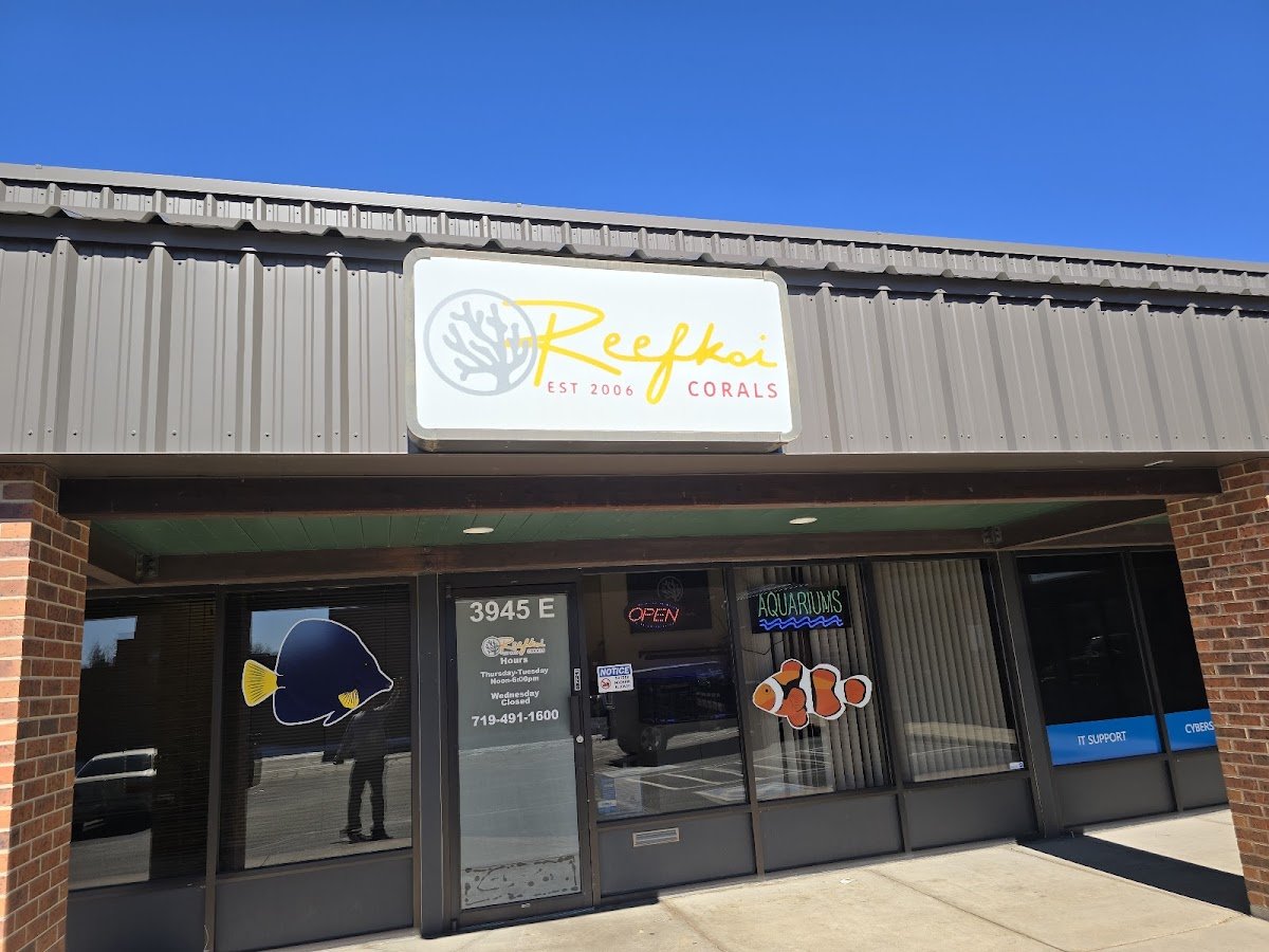 Reefkoi Corals LLC - Photo 2