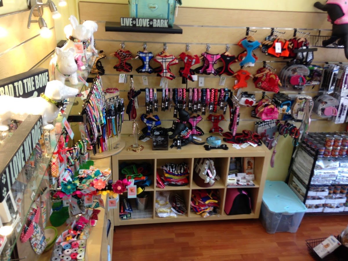 D'Luxe Dog Pet Concierge & Boutique - Photo 2