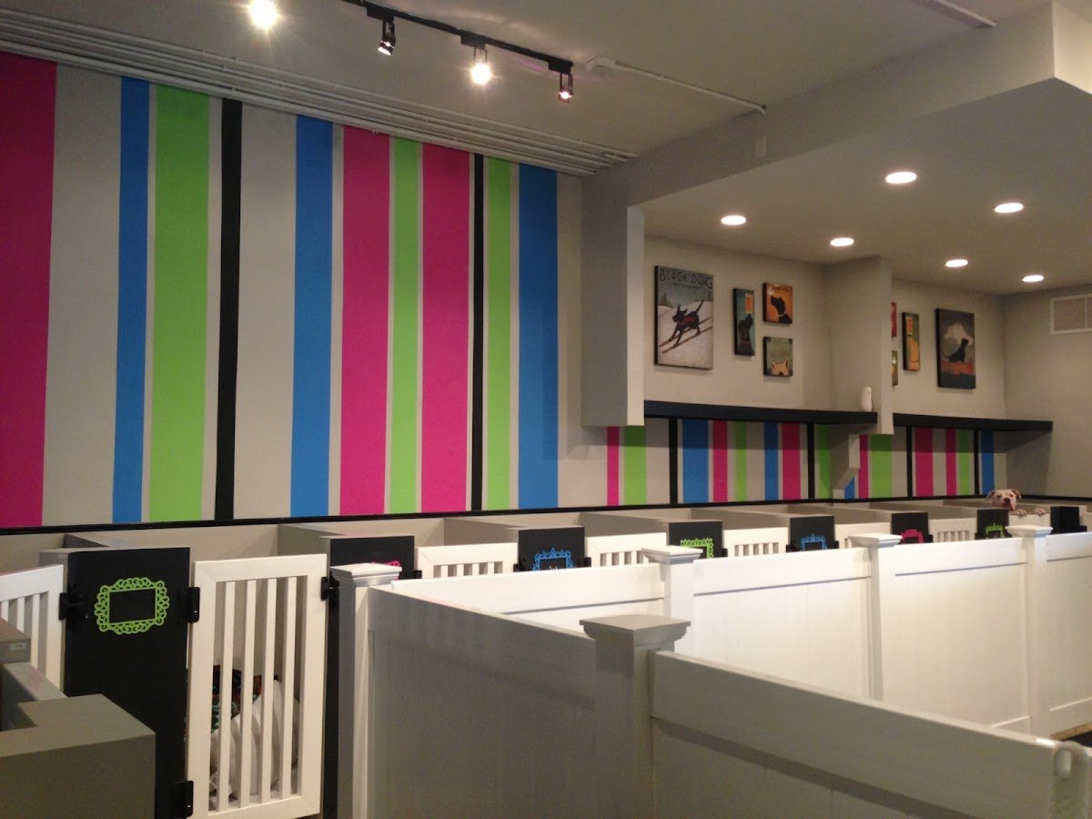 Salon Poochini - Photo 2