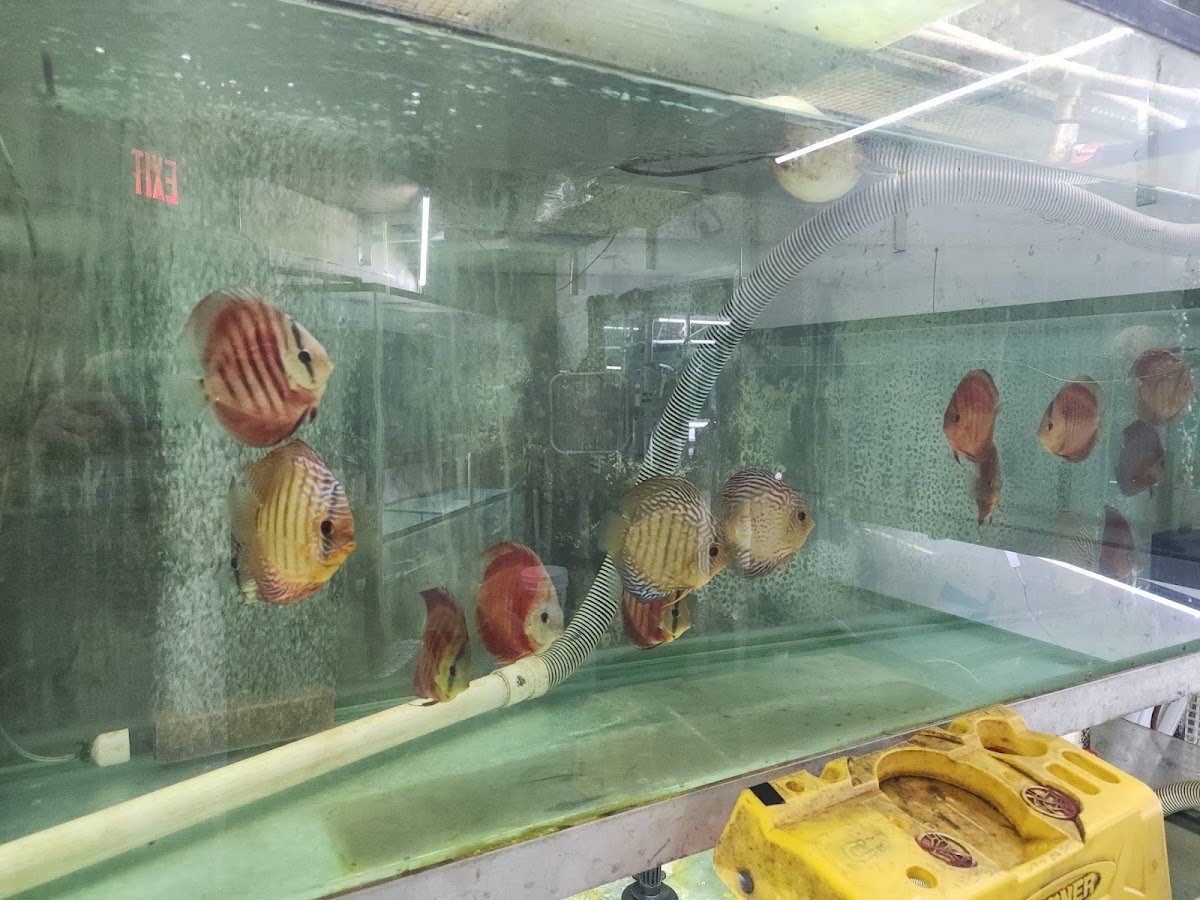 Petland Miami - Photo 2