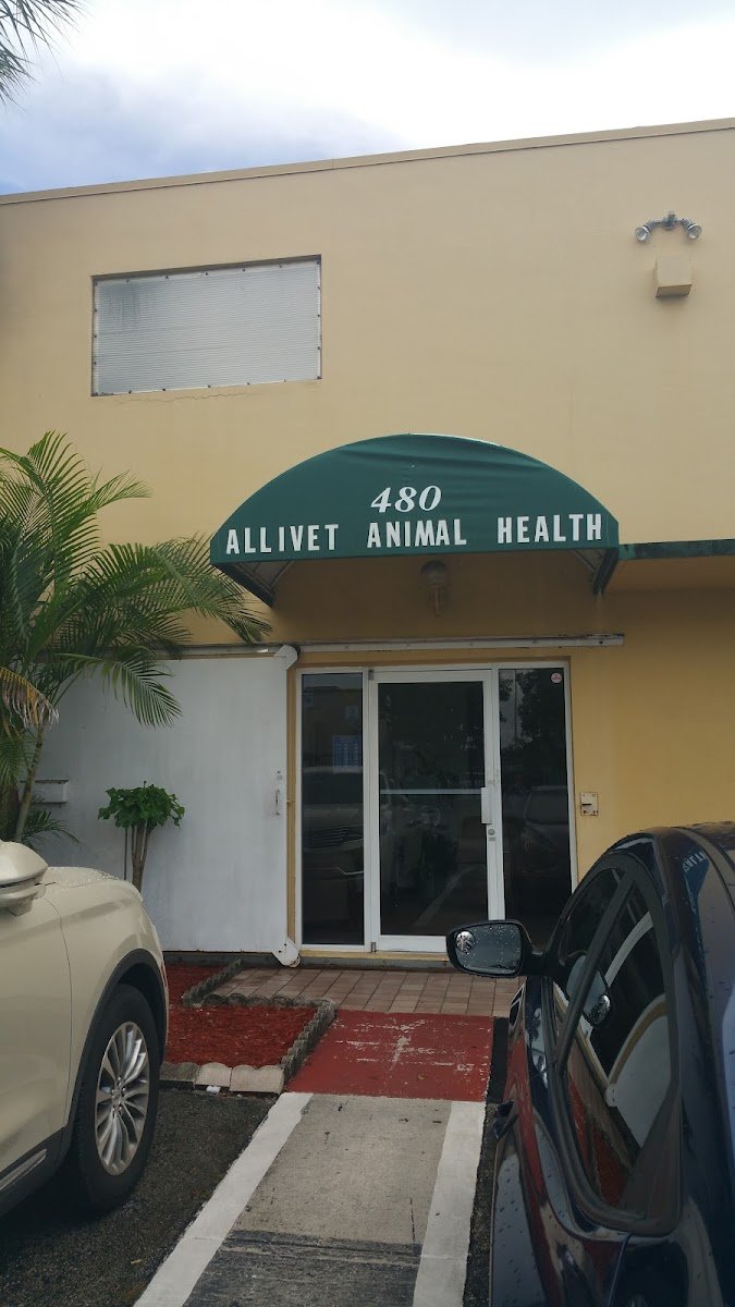 Amore Pet Grooming Kendall - Photo 2