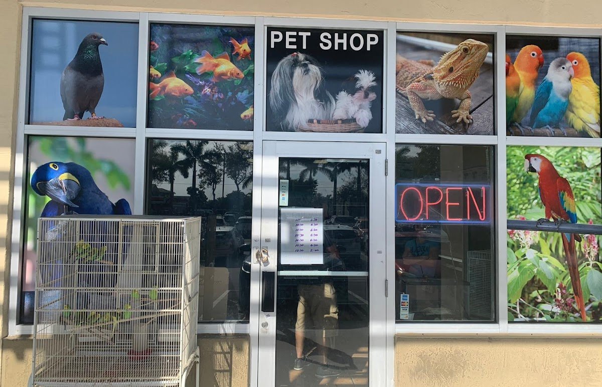 Animal Jungle Shop - Photo 2