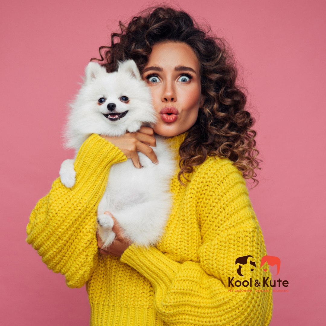 Kool & Kute Pet Boutique - Photo 2