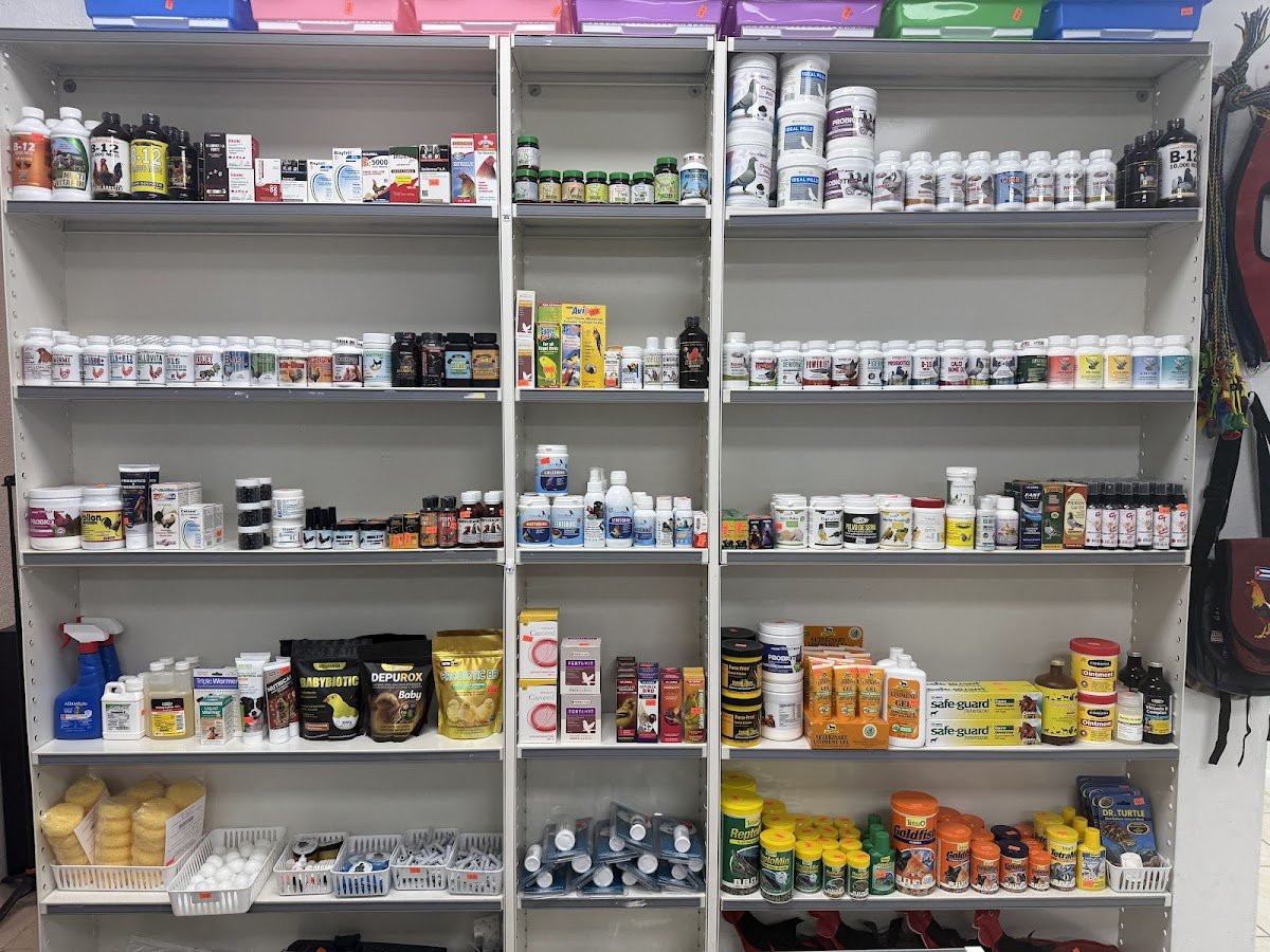 Laboratorio Pet Shop - Photo 2