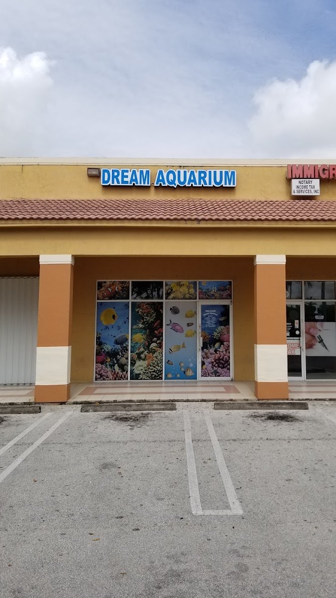 Dream Aquarium 1 - Photo 2