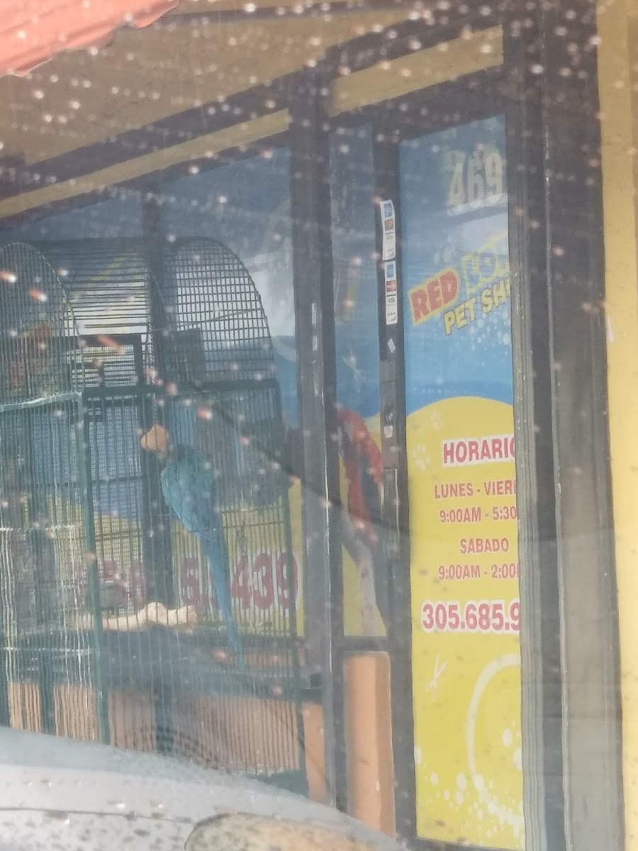Red Lories Pet Supply - Photo 2