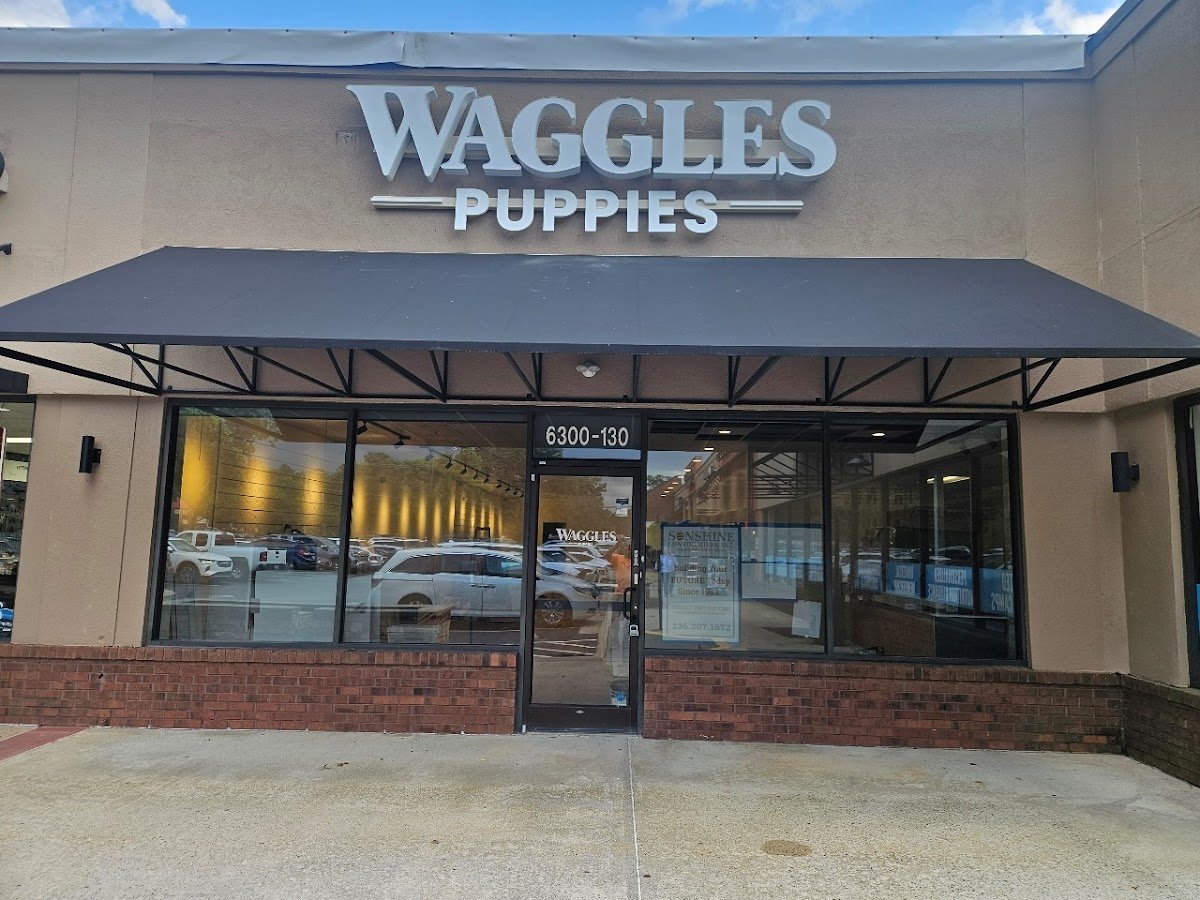 Waggles Raleigh - Photo 2