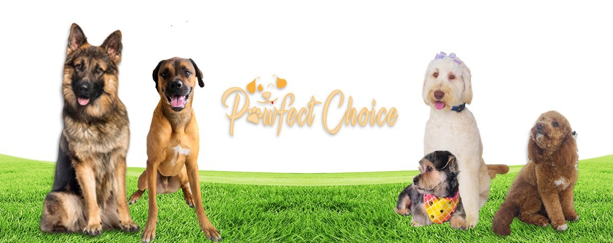 Pawfect Choice - Photo 2