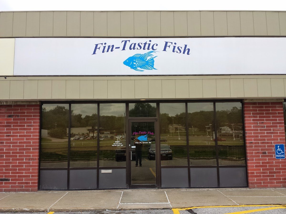Fin-Tastic Fish - Photo 2