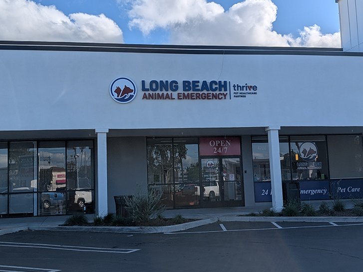 Centinela Feed & Pet Supplies - Photo 2