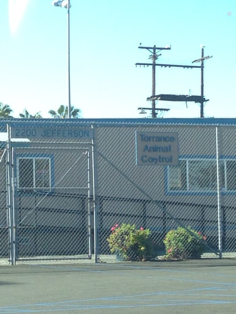Torrance Animal Control - Photo 2
