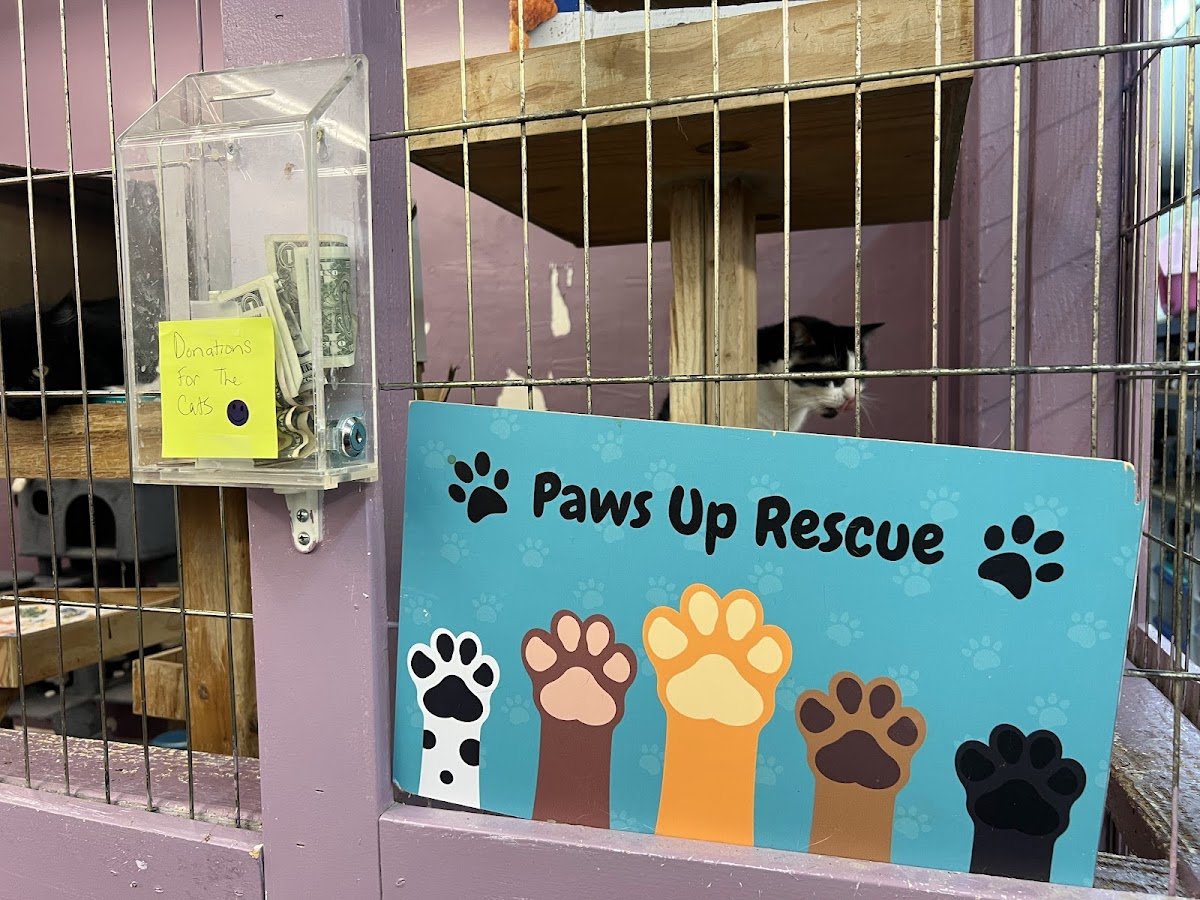 Healthy Paws - Photo 2