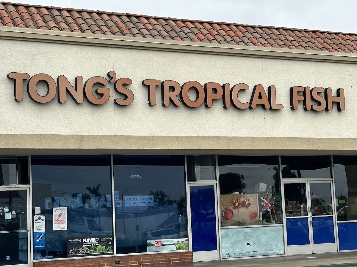 Tong's Tropical Fish & Pets - Photo 2