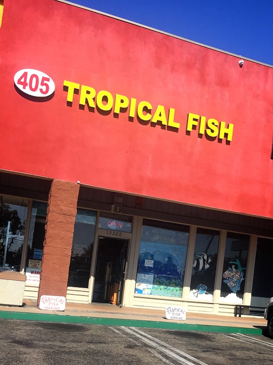 405 Tropical Fish - Photo 2