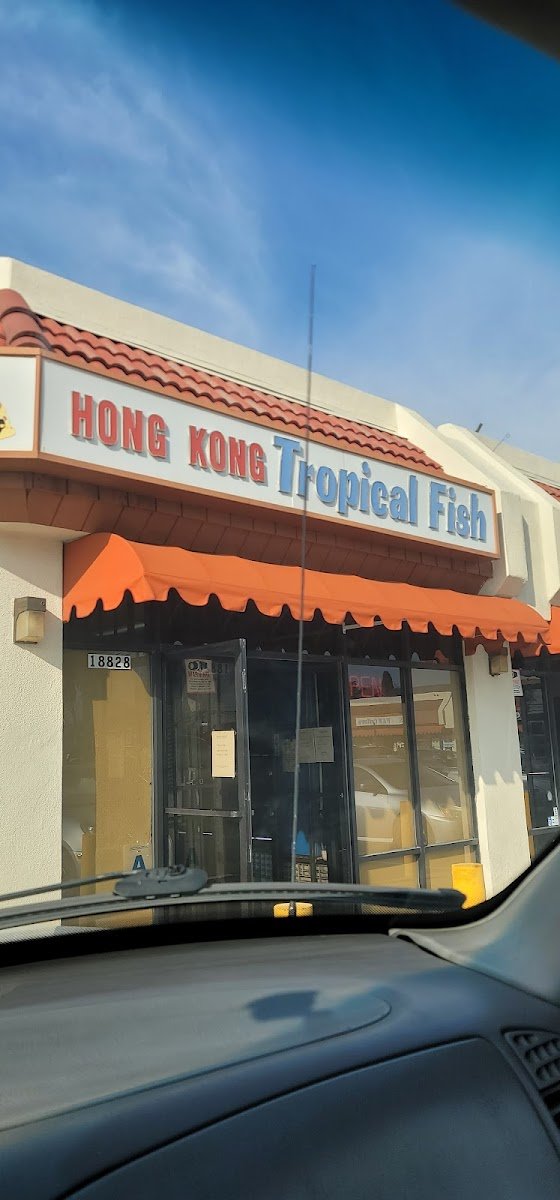 Hong Kong Tropical Fish - Photo 2