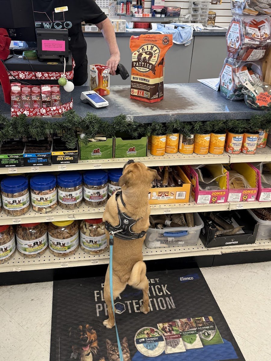 Pet Supply - Photo 2
