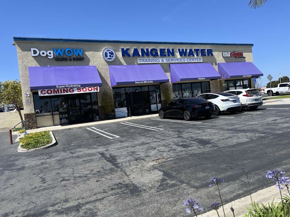 dogWOW - Photo 2