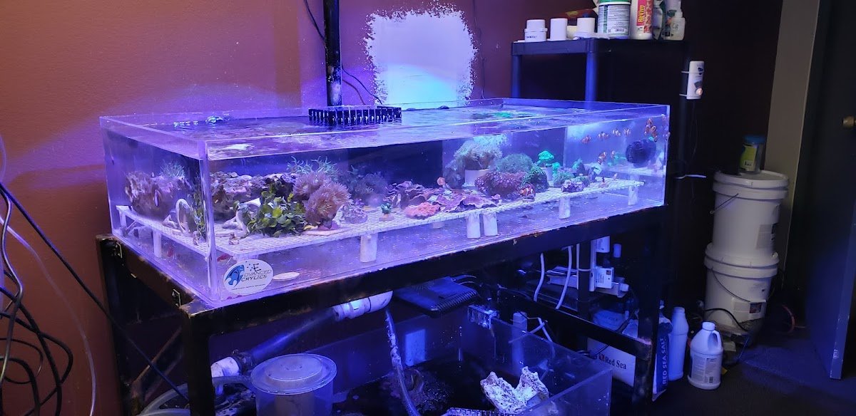 Orange County Reef Care - Photo 2