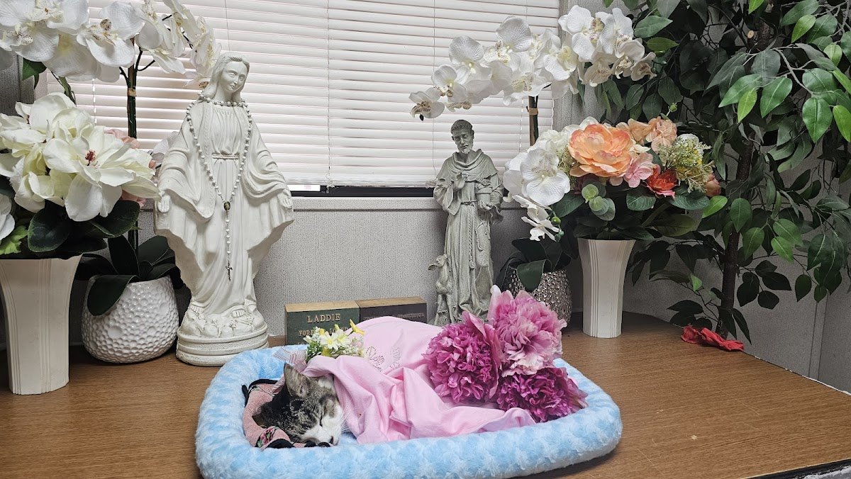 Pet Haven Cemetery & Crematory - Photo 2