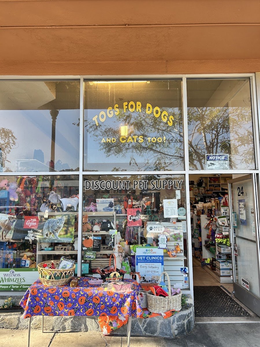 Togs For Dogs & Cats Too - Photo 2