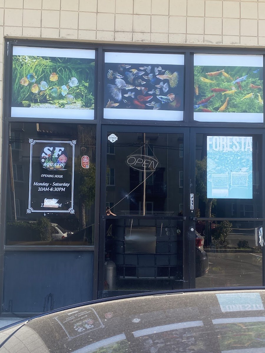 Pinole Paws Pet Grooming - Photo 2