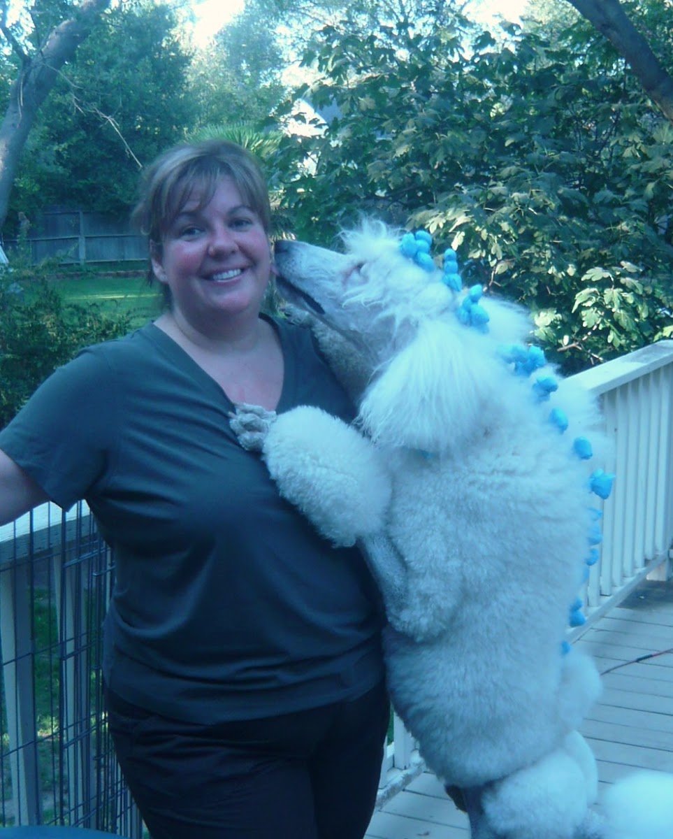Pleasant Oaks Pet Grooming - Photo 2