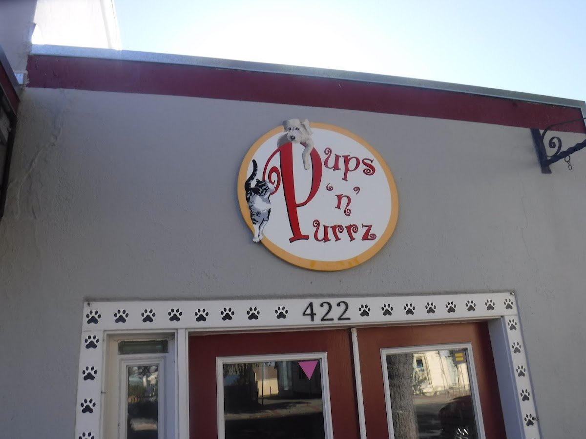 Pups N Purrz - Photo 2