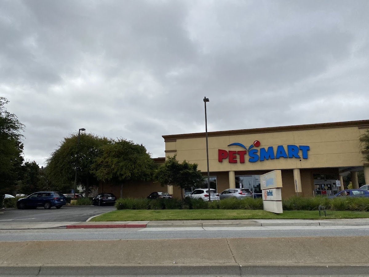 PetSmart - Photo 4