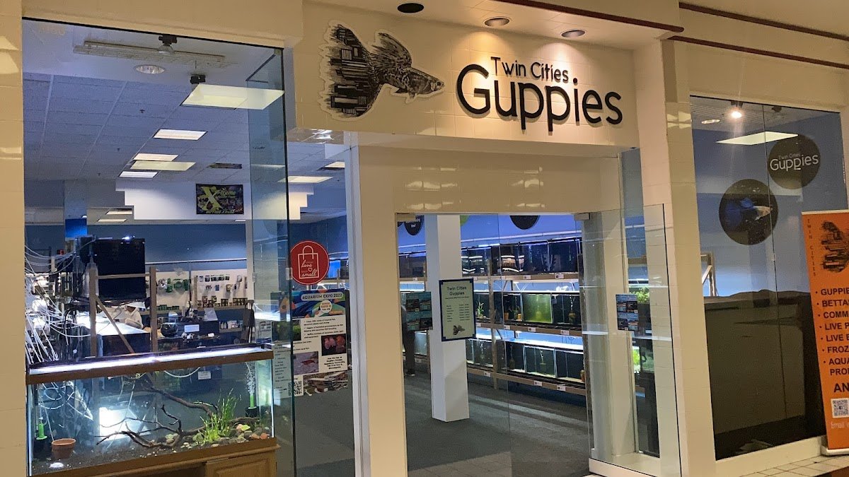Twin Cities Guppies - Photo 2
