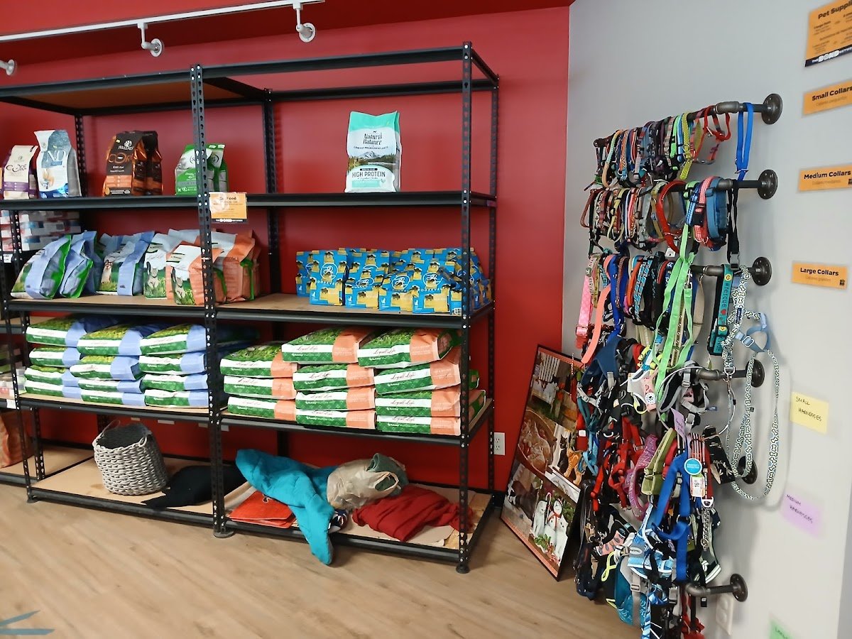 The Bond Between Pet Food Shelf - Photo 3