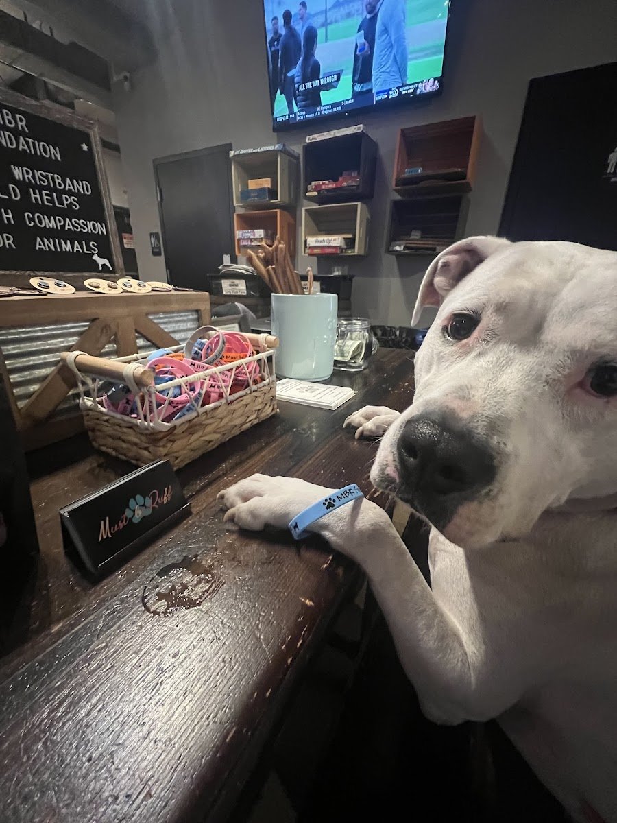 Must be Ruff - Photo 2