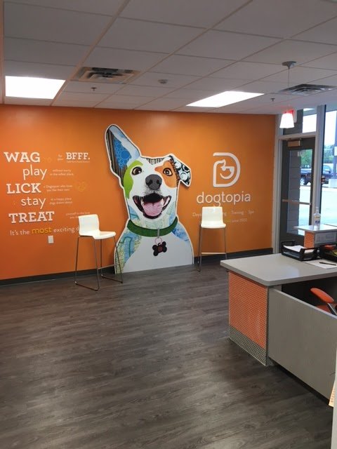 Dogtopia of Bloomington - Photo 2