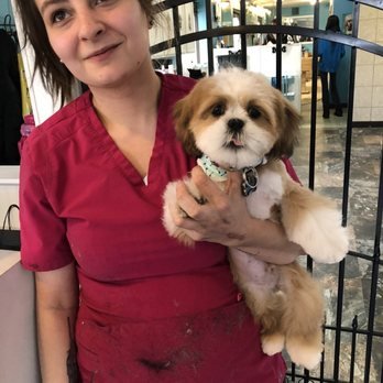 The Dirty Dog Spa - Photo 2