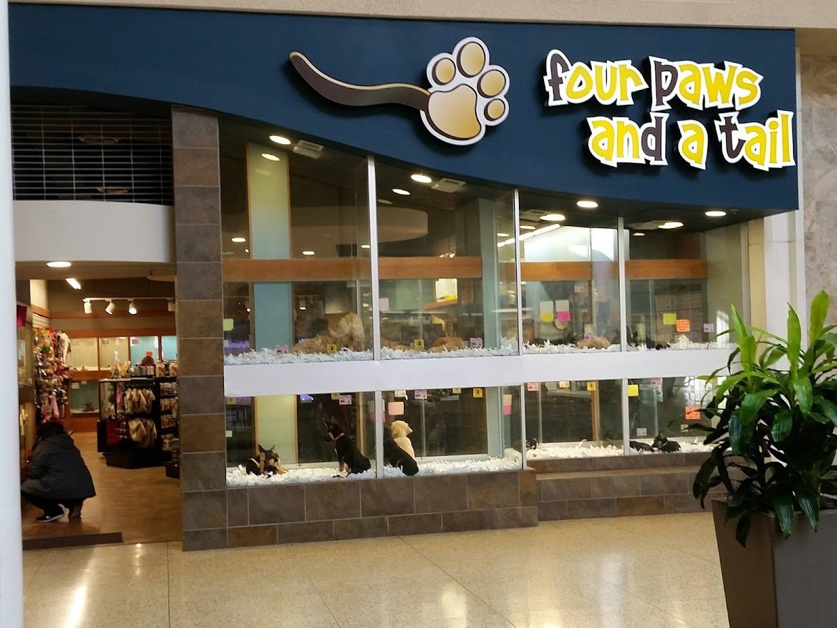 Northtown Mall - Photo 3