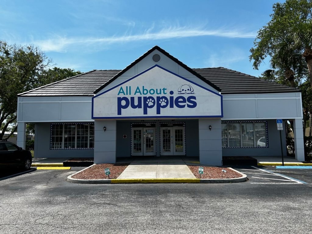 All About Puppies - Photo 2