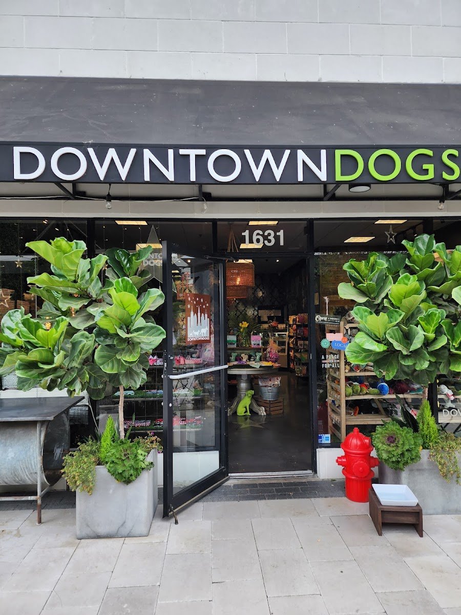 Downtown Dogs - Photo 2