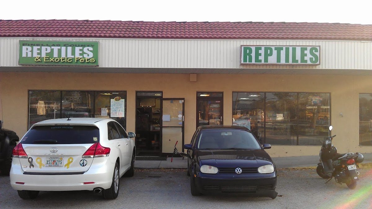 Remington Specialty Feed - Photo 2