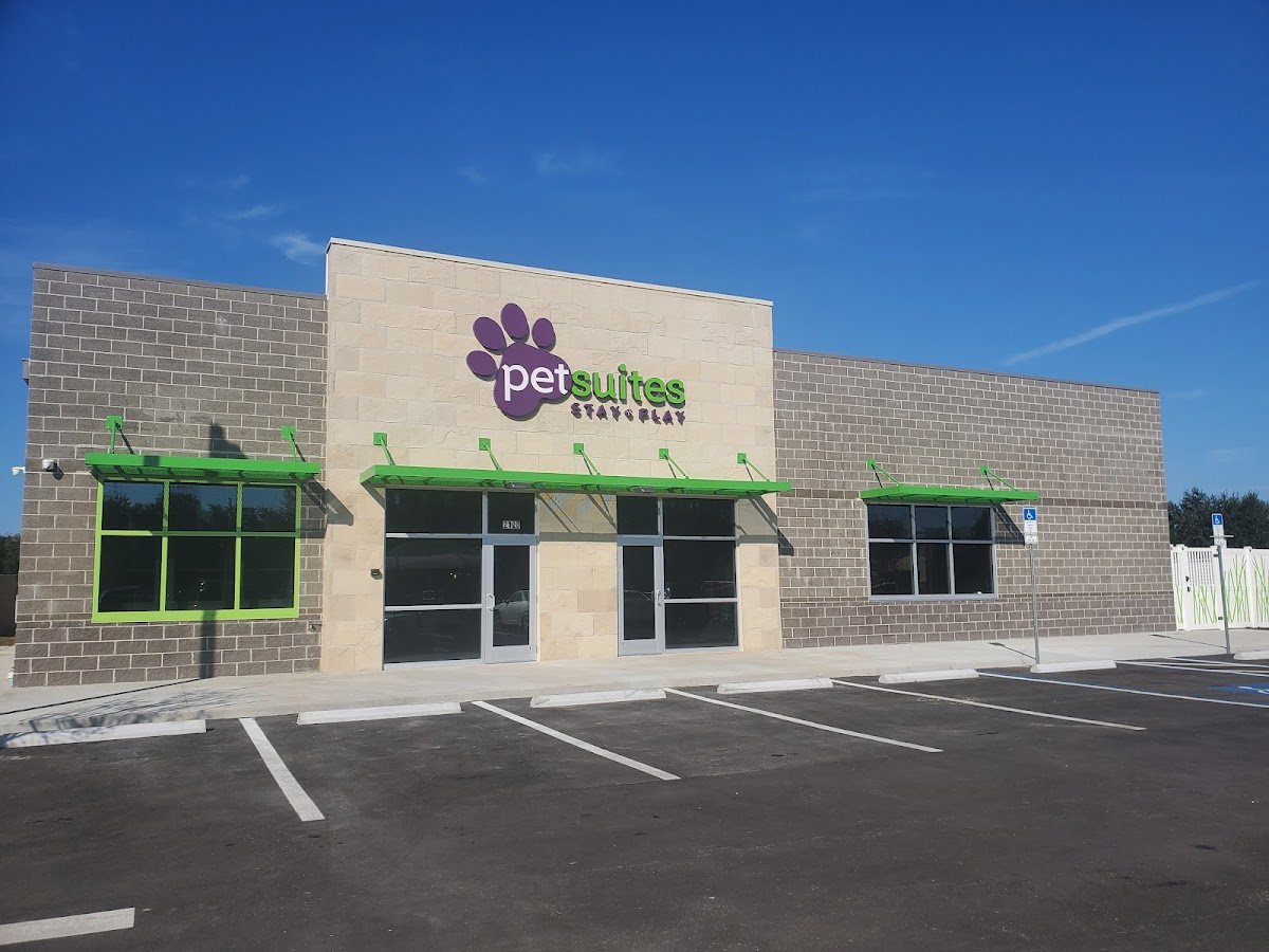PetSuites Bloomingdale - Photo 2