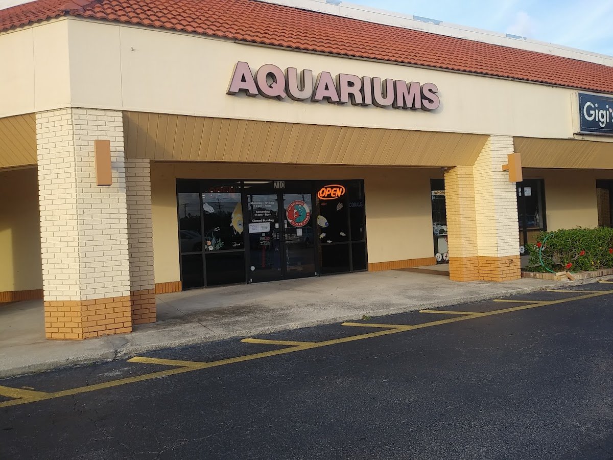 The Aquarium & Fish Store - Photo 2