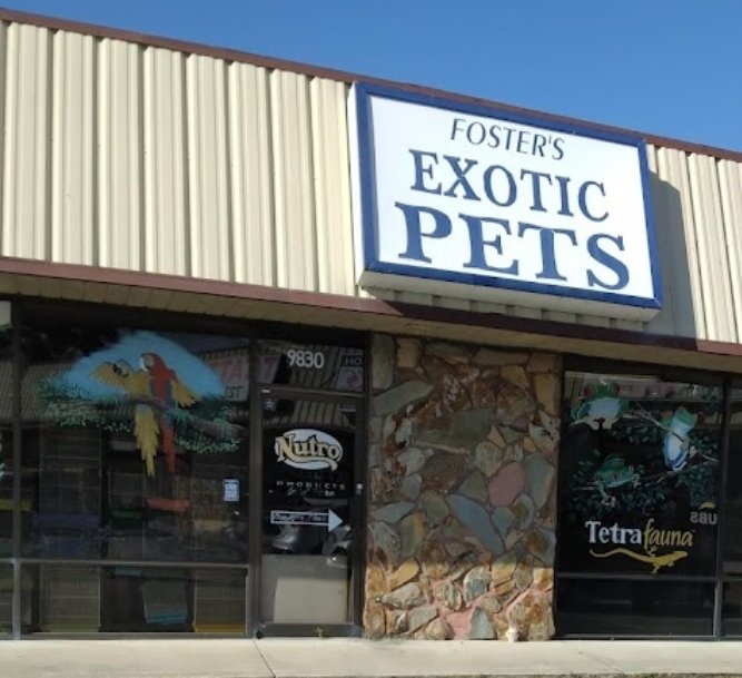Foster's Exotic Pets - Photo 2
