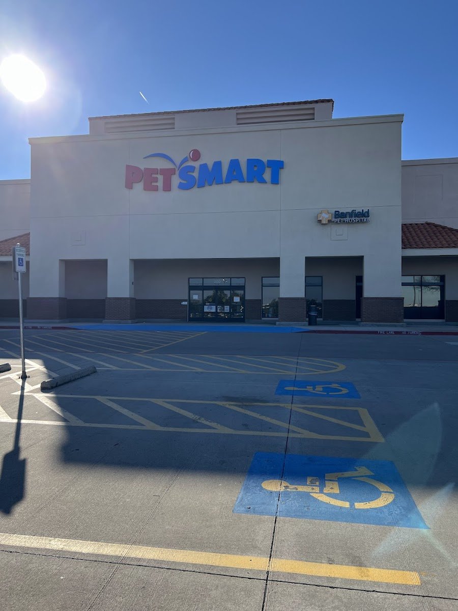 PetSmart - Photo 3