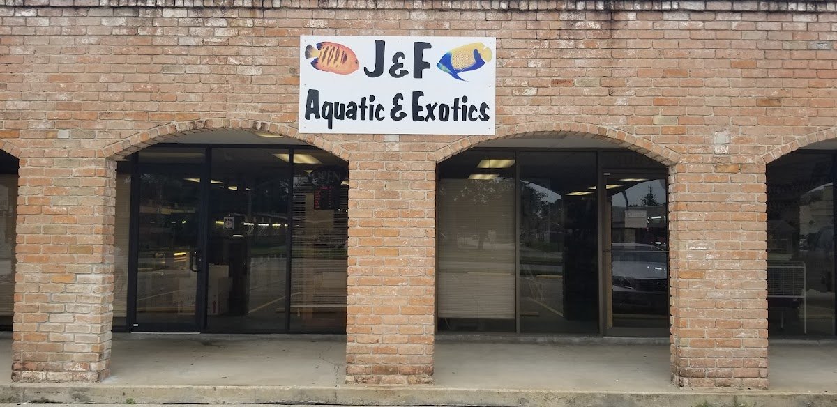 J & F Aquatics Exotics - Photo 2