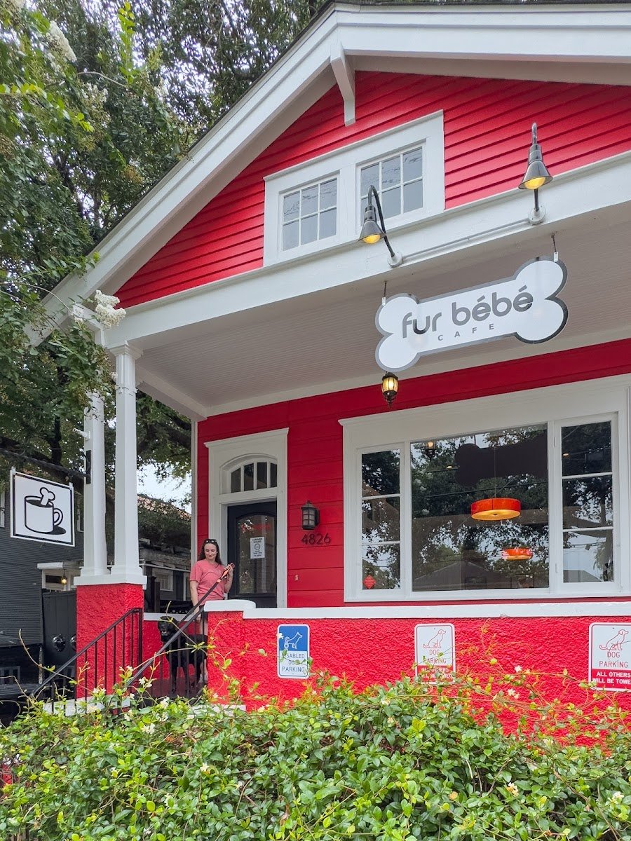 Fur Bébé Cafe - Photo 2