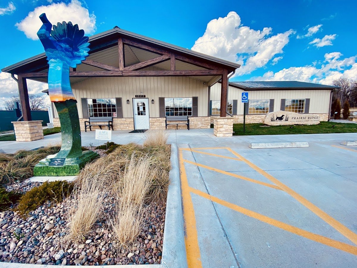 PetSmart - Photo 2