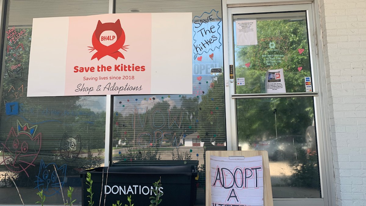 Save The Kitties - Photo 2
