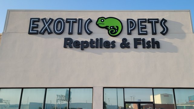 Exotic Pets - Photo 2